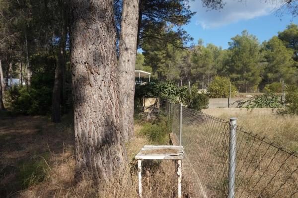 Terreno en Monteamor - La Carrasca - El Peucal