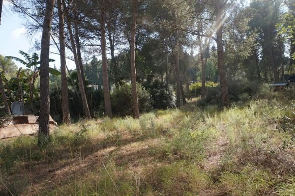 Terreno en Monteamor - La Carrasca - El Peucal