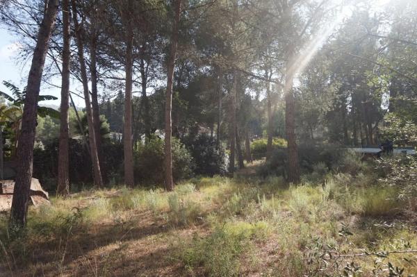 Terreno en Monteamor - La Carrasca - El Peucal