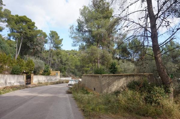 Terreno en Monteamor - La Carrasca - El Peucal