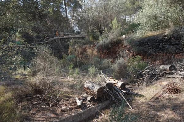 Terreno en Monteamor - La Carrasca - El Peucal