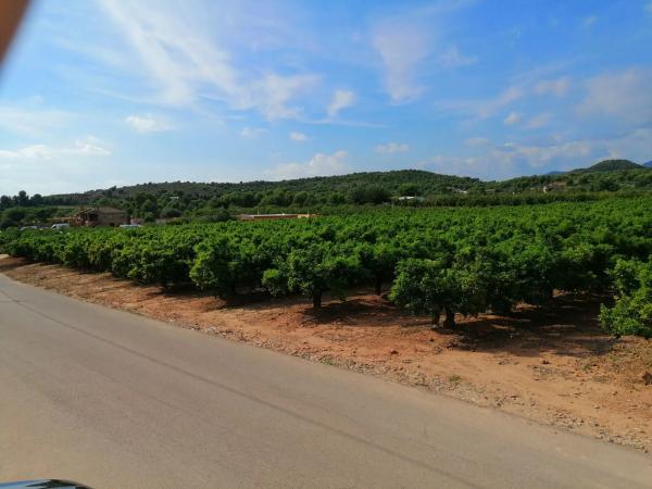 Terreno en Urbanización corralet s/n Carreteranaquera