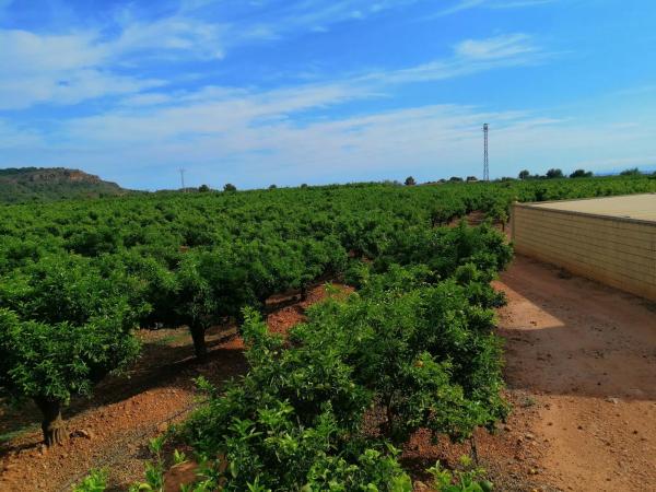 Terreno en Urbanización corralet s/n Carreteranaquera