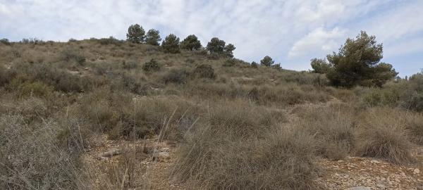 Terreno en Cv-374, km 1.3, 1