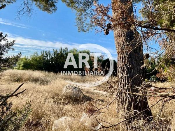 Terreno en Montepilar