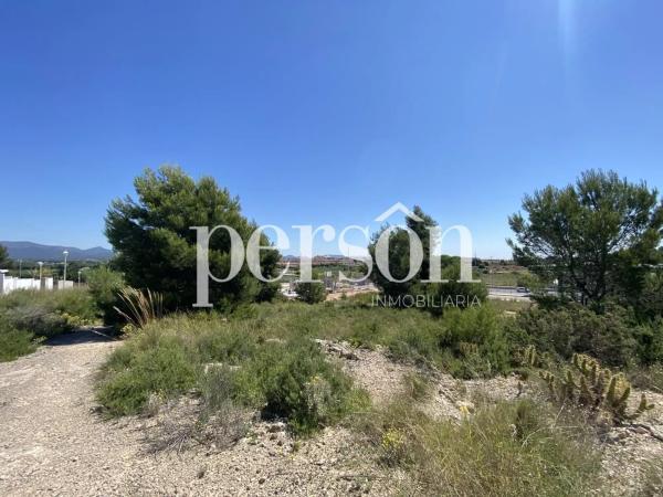 Terreno en La Conarda-Montesano