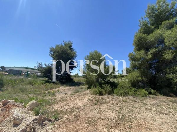 Terreno en La Conarda-Montesano