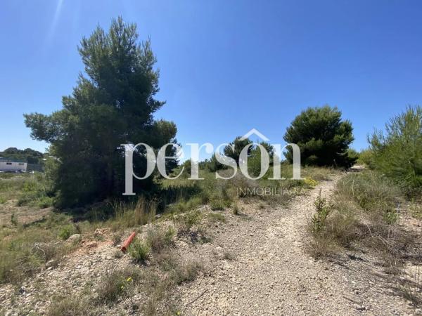 Terreno en La Conarda-Montesano