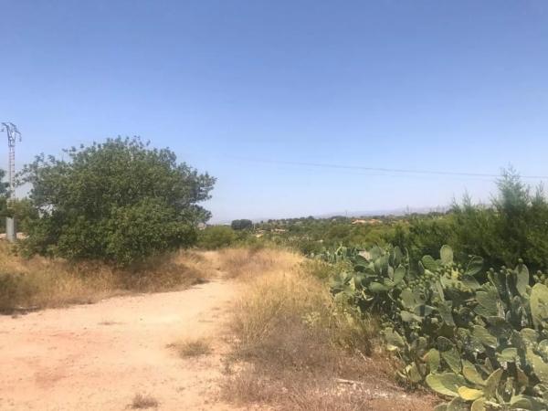 Terreno en Pla dels Aljubs