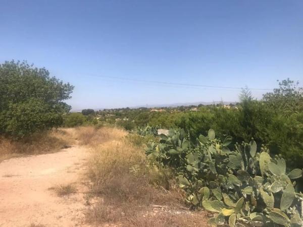 Terreno en Pla dels Aljubs