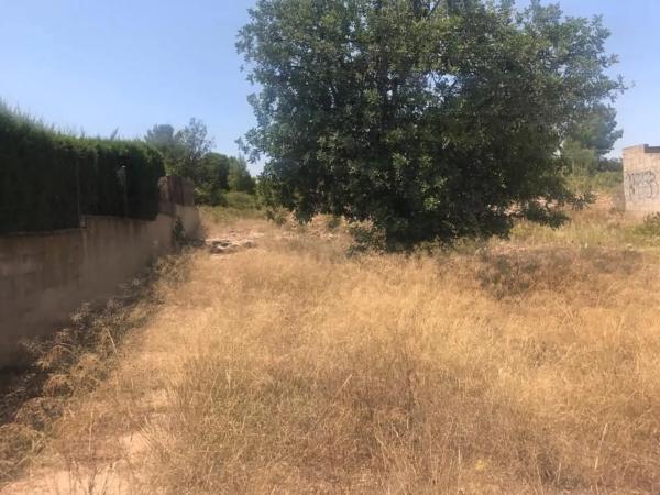 Terreno en Pla dels Aljubs