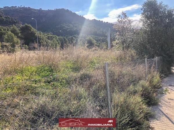 Terreno en Casco Urbano