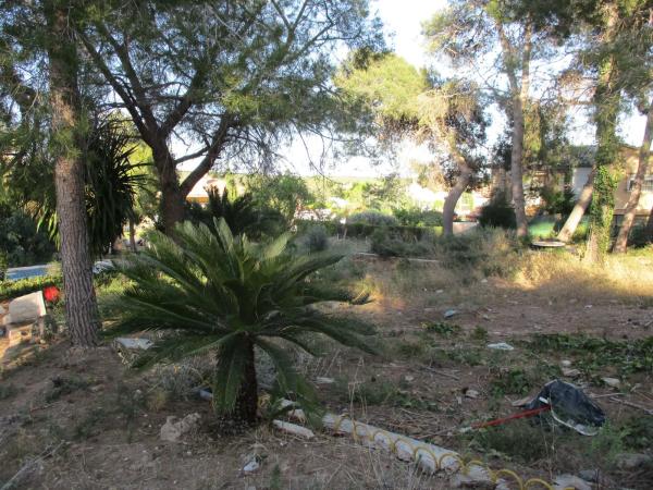 Terreno en calle els pous