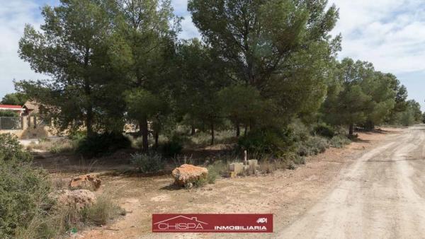 Terreno en Corral Nou - Montros - Estepar