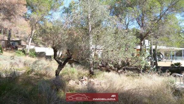 Terreno en Monteamor - La Carrasca - El Peucal