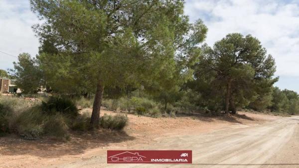 Terreno en Corral Nou - Montros - Estepar