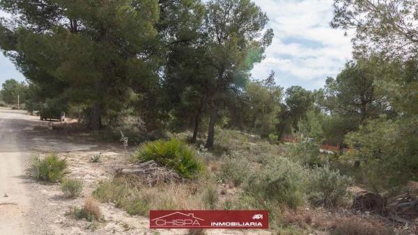 Terreno en Corral Nou - Montros - Estepar