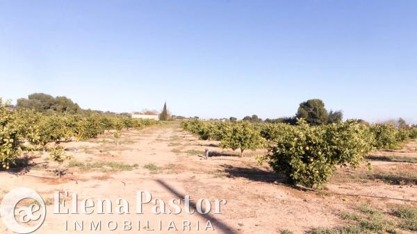 Terreno en Urbanizacion Pla de Andanes, 22