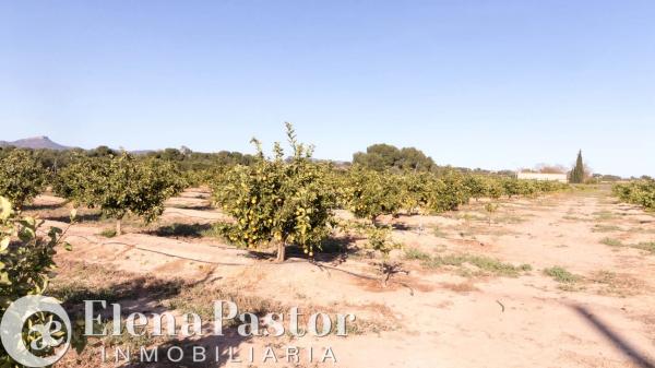 Terreno en Urbanizacion Pla de Andanes, 22