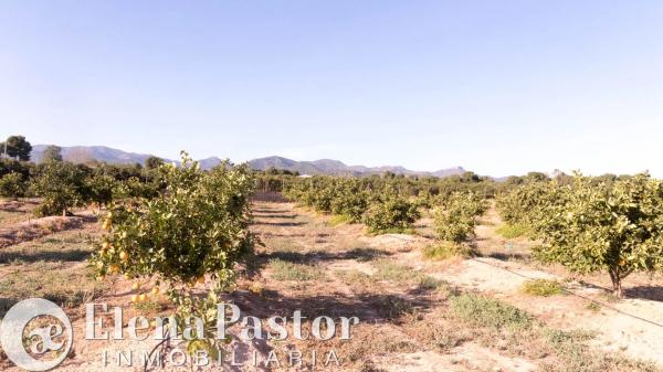 Terreno en Urbanizacion Pla de Andanes, 22