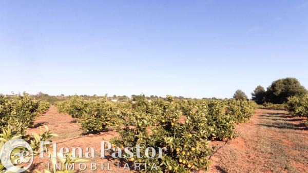 Terreno en Urbanizacion Pla de Andanes, 22