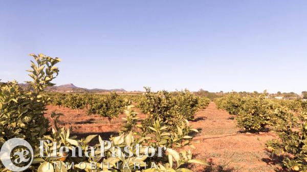 Terreno en Urbanizacion Pla de Andanes, 22