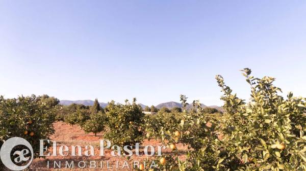 Terreno en Urbanizacion Pla de Andanes, 22