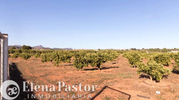 Terreno en Urbanizacion Pla de Andanes, 22