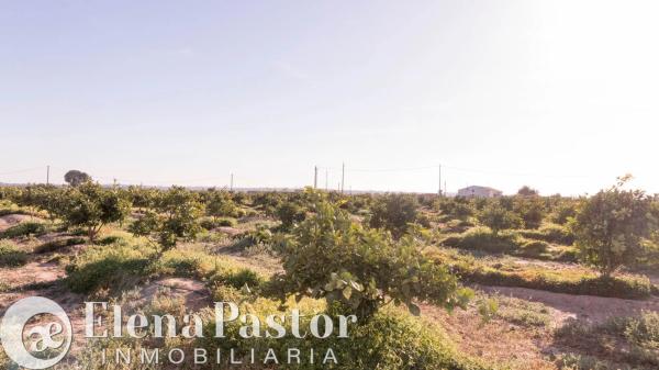 Terreno en Urbanizacion Pla de Andanes, 22