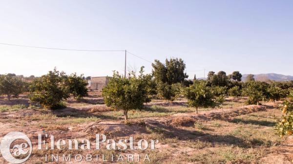 Terreno en Urbanizacion Pla de Andanes, 22
