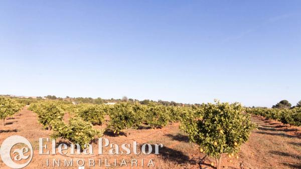Terreno en Urbanizacion Pla de Andanes, 22