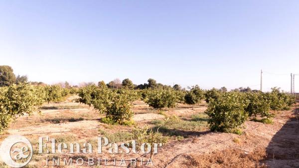 Terreno en Urbanizacion Pla de Andanes, 22