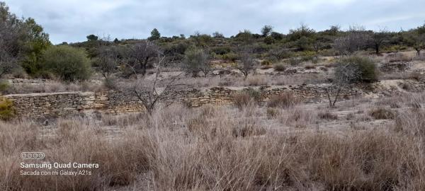 Terreno en Partida corral de rey s/n