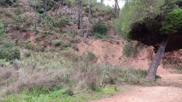 Terreno en Polígono 005 Parcela 00510 Paraje Arquet, 5 PolgonoParcelaParajeARQUET