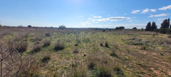 Terreno en poligono 78