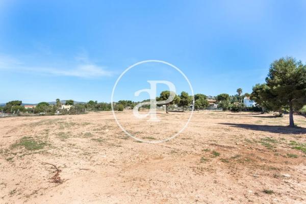 Terreno en calle Pintor Sorolla