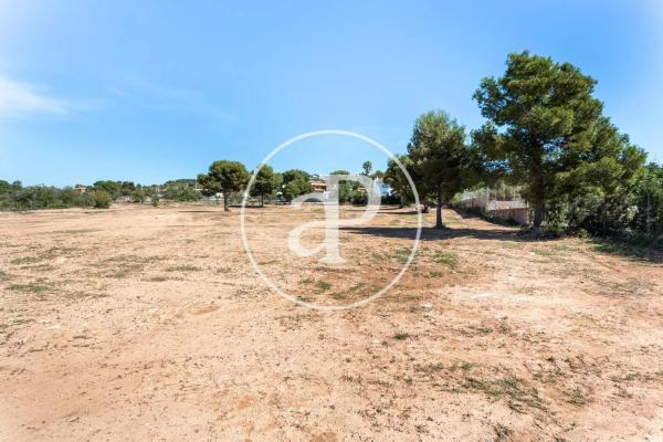 Terreno en calle Pintor Sorolla