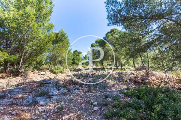 Terreno en Olocau