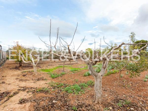 Terreno en Santa Bárbara