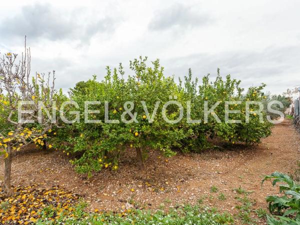 Terreno en Santa Bárbara