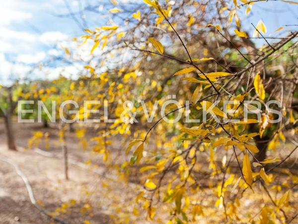 Terreno en Santa Bárbara