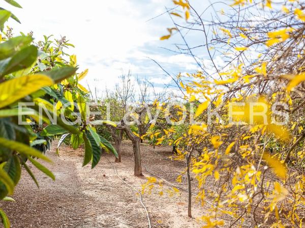 Terreno en Santa Bárbara