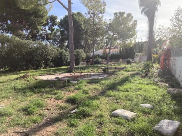 Terreno en José Alegre Rubio, 24