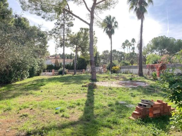 Terreno en José Alegre Rubio, 24