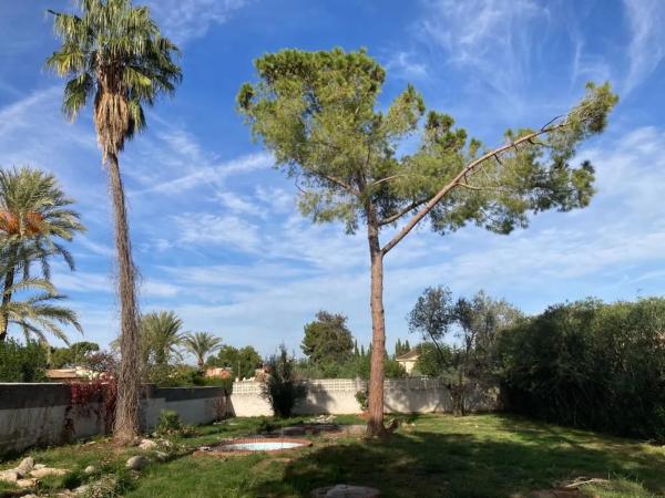 Terreno en José Alegre Rubio, 24