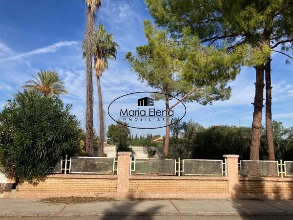 Terreno en José Alegre Rubio, 24