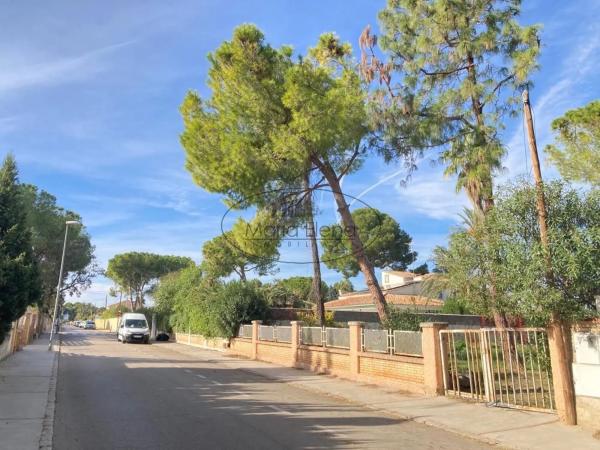 Terreno en José Alegre Rubio, 24