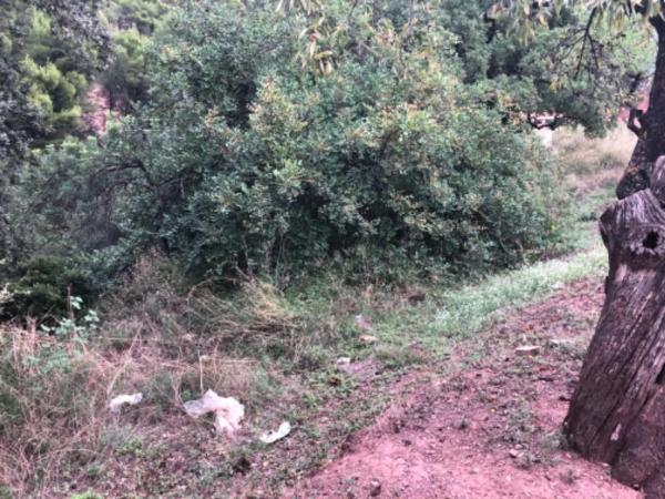 Terreno en Polígono 35, 35