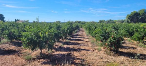Terreno en plaza Poligono N-40.R