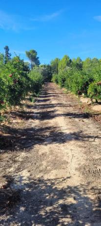 Terreno en plaza Poligono N-40.R